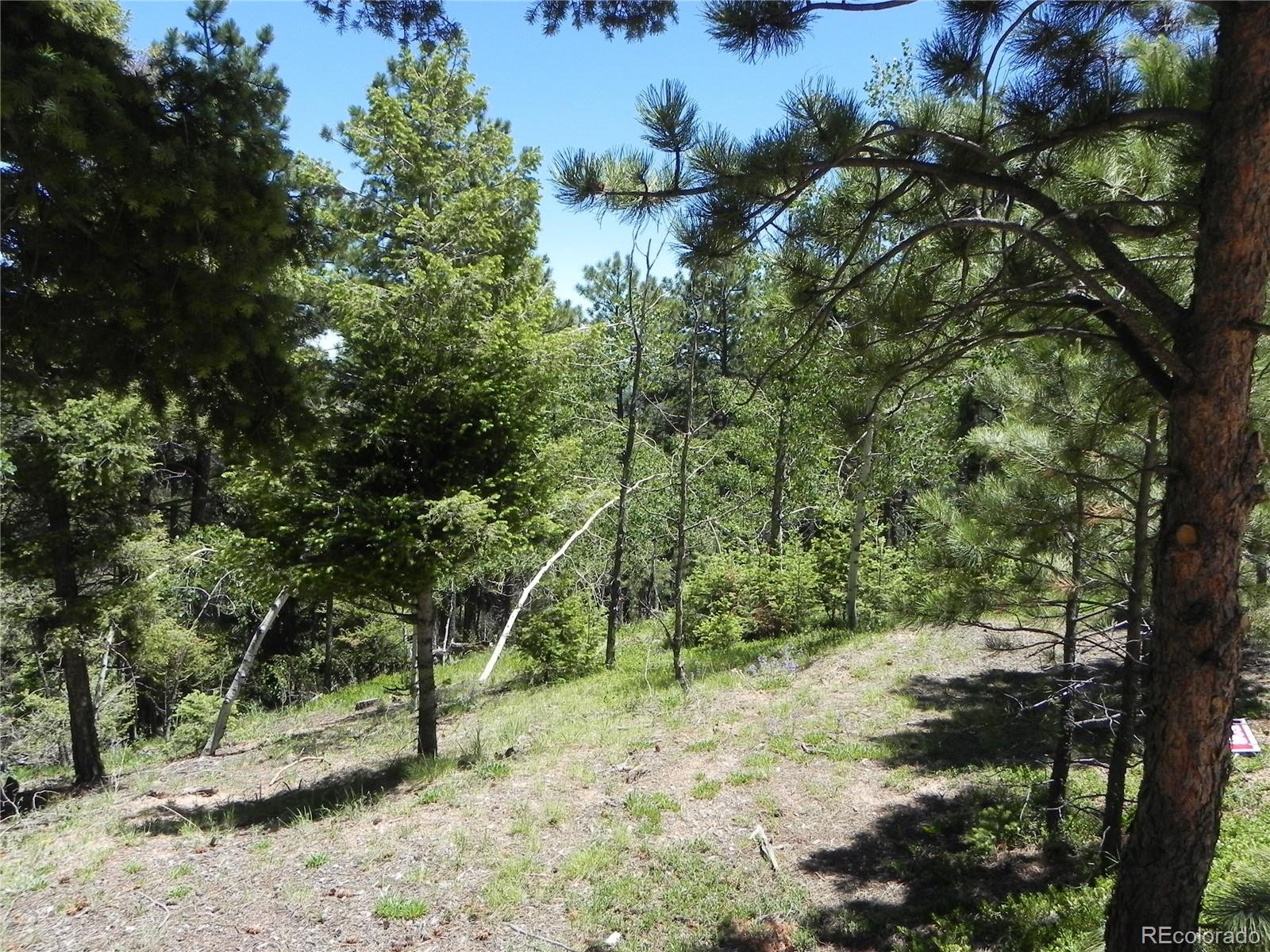 13910 Boulder Lane Larkspur CO 80118