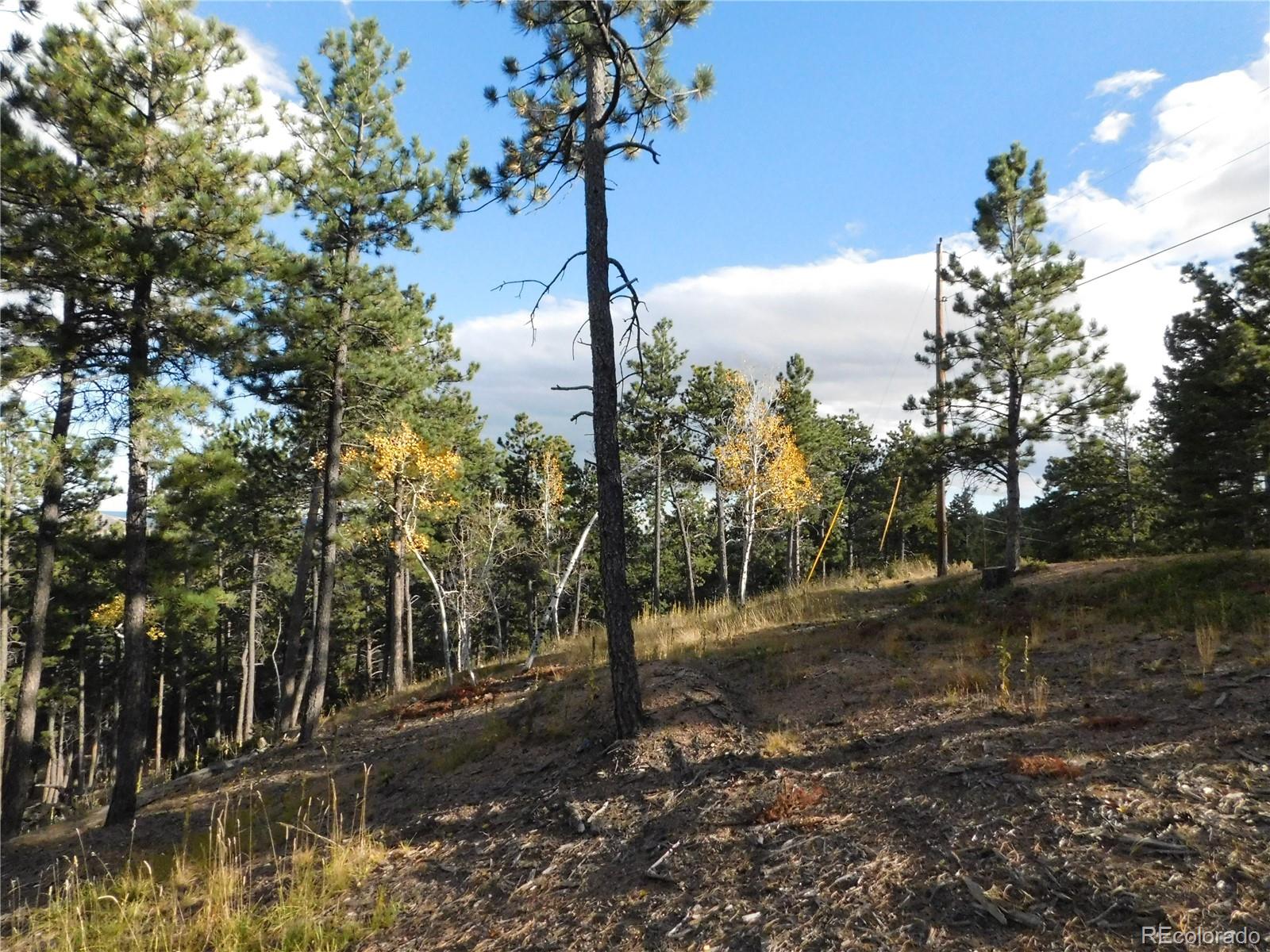 13910 Boulder Lane Larkspur CO 80118