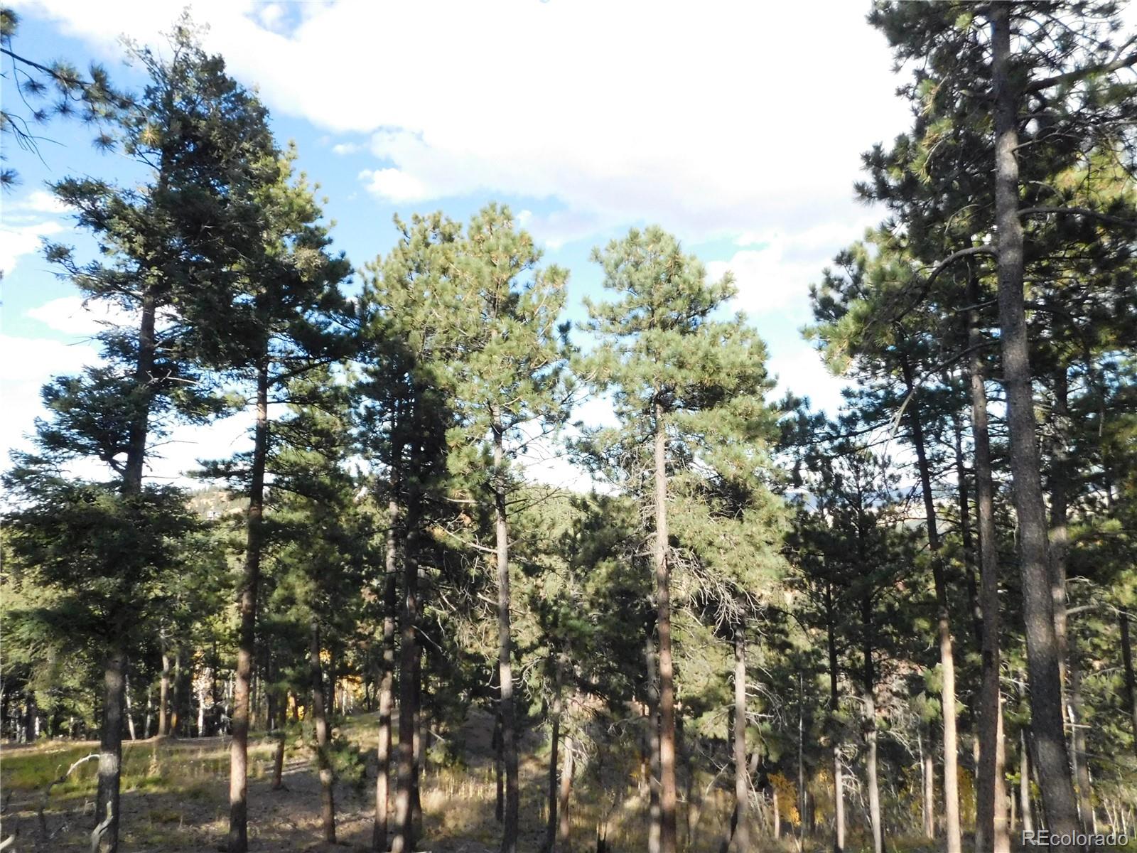 13910 Boulder Lane Larkspur CO 80118