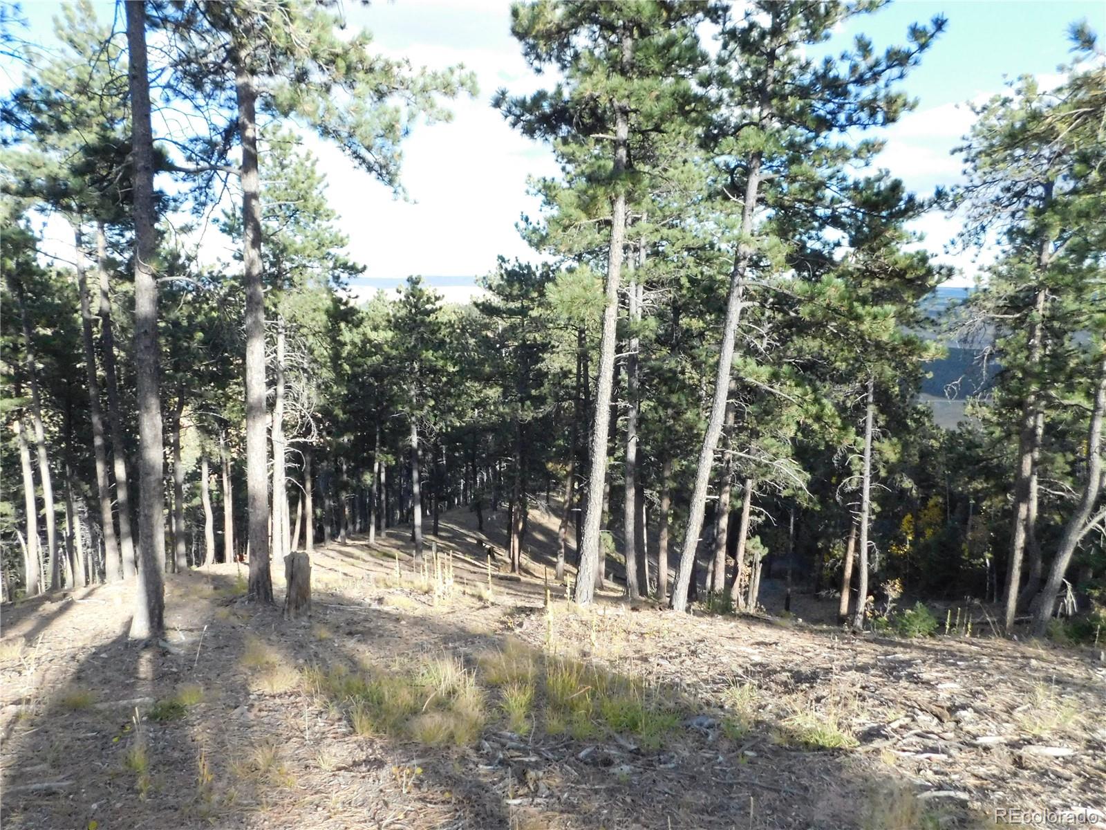 13910 Boulder Lane Larkspur CO 80118