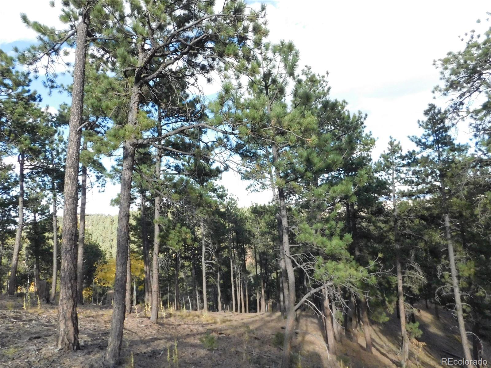 13910 Boulder Lane Larkspur CO 80118