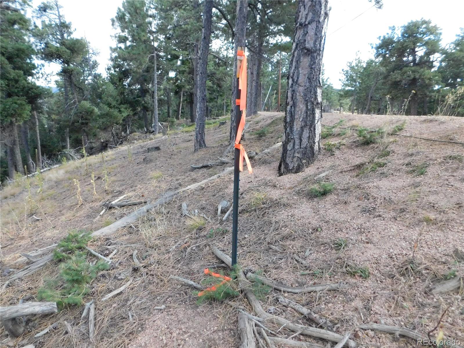 13910 Boulder Lane Larkspur CO 80118