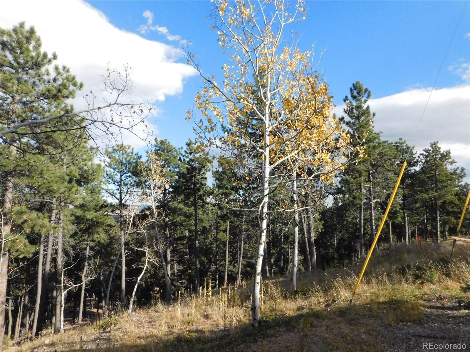 13910 Boulder Lane Larkspur CO 80118