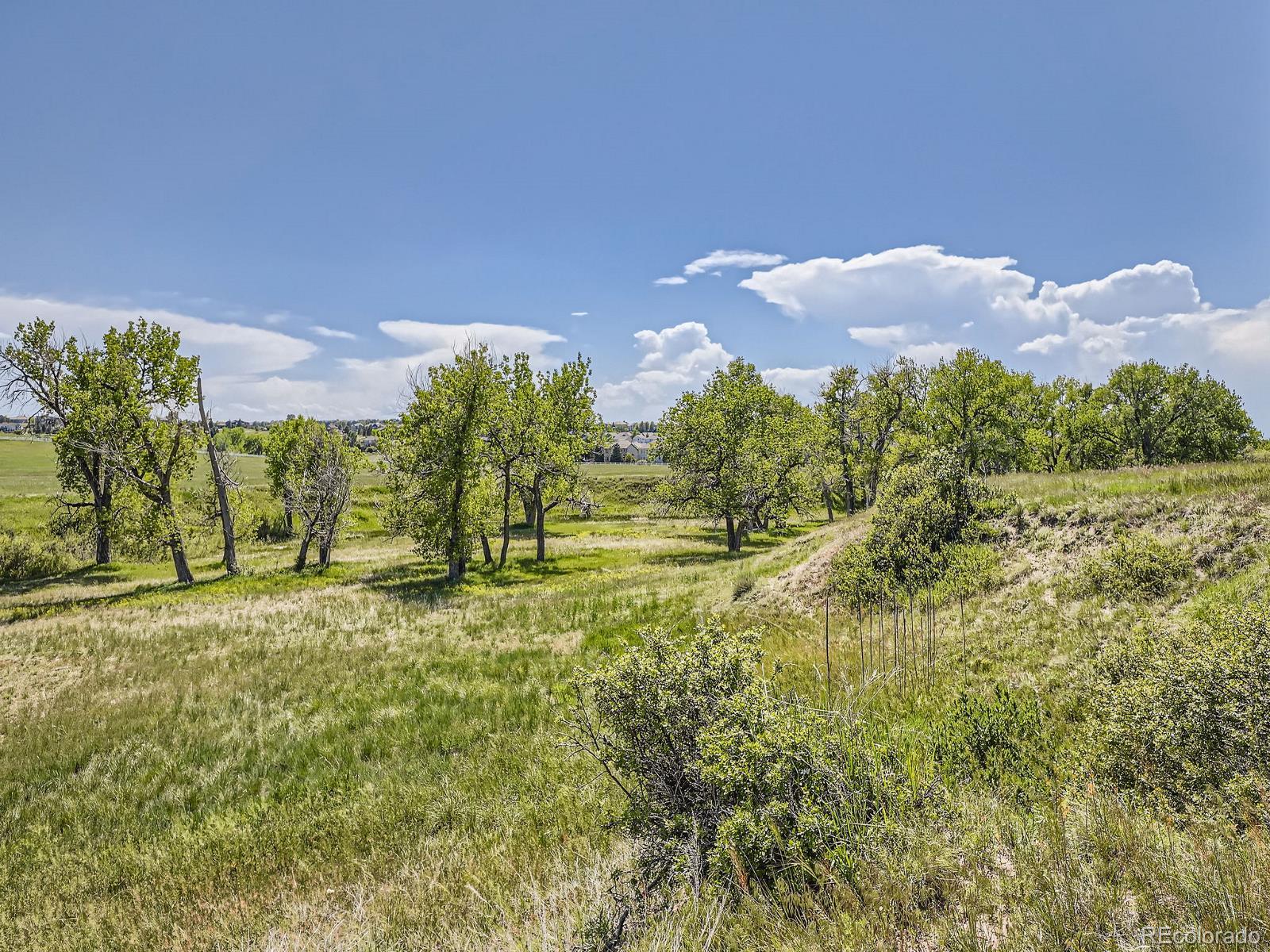 10443 Tomahawk Road Parker CO 80138