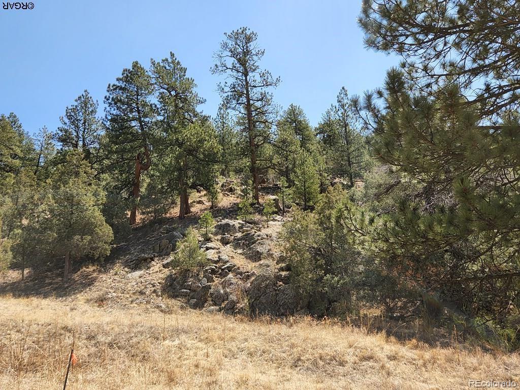 1314 Arnold Drive Cotopaxi CO 81223