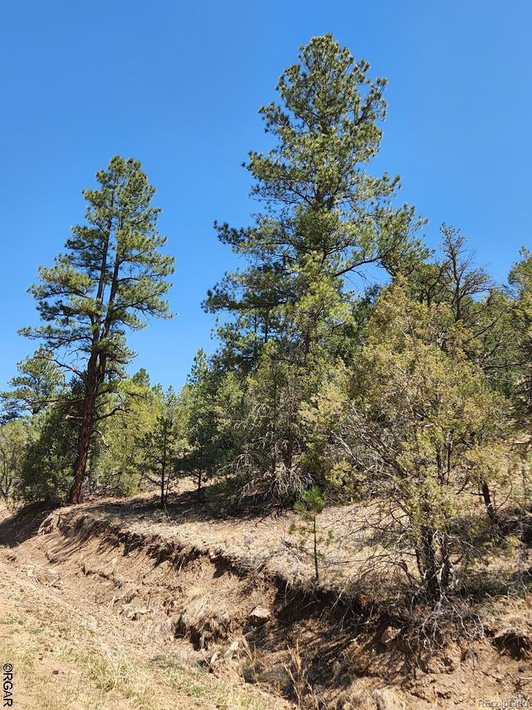 1314 Arnold Drive Cotopaxi CO 81223