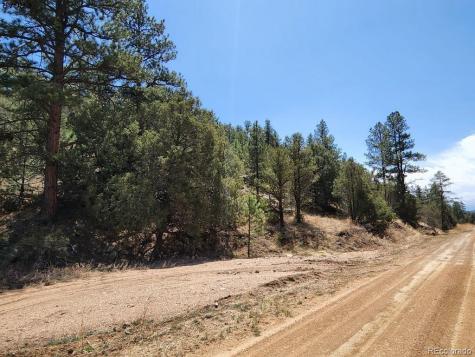 1314 Arnold Drive Cotopaxi CO 81223