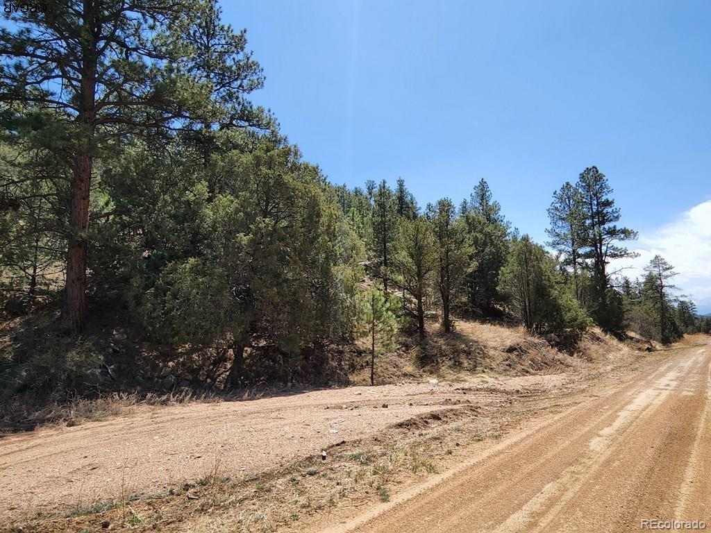 1314 Arnold Drive Cotopaxi CO 81223