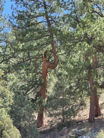 1314 Arnold Drive Cotopaxi CO 81223