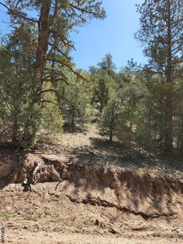 1314 Arnold Drive Cotopaxi CO 81223