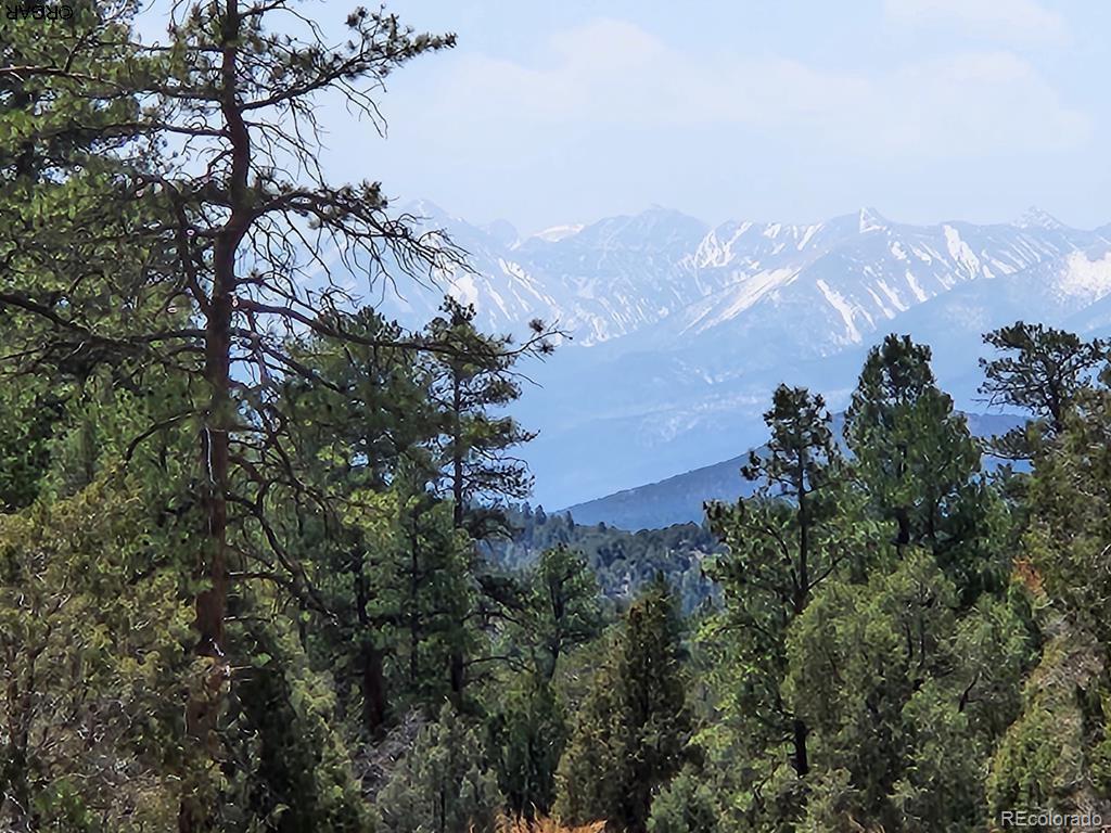 1314 Arnold Drive Cotopaxi CO 81223