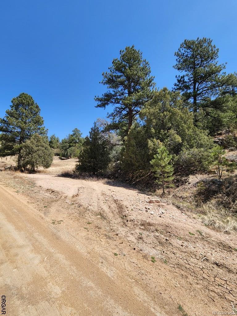 1314 Arnold Drive Cotopaxi CO 81223
