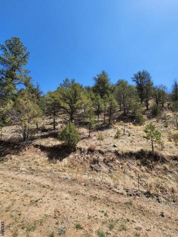 1314 Arnold Drive Cotopaxi CO 81223