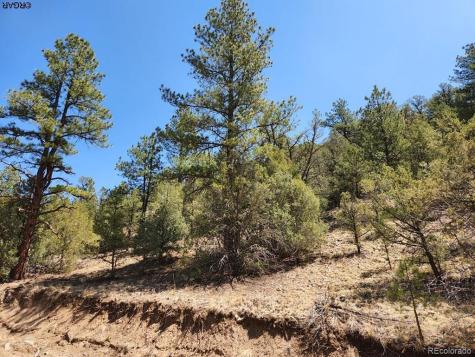 1314 Arnold Drive Cotopaxi CO 81223