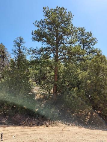 1314 Arnold Drive Cotopaxi CO 81223