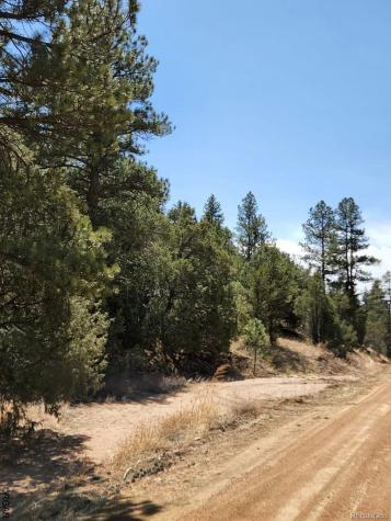 1314 Arnold Drive Cotopaxi CO 81223