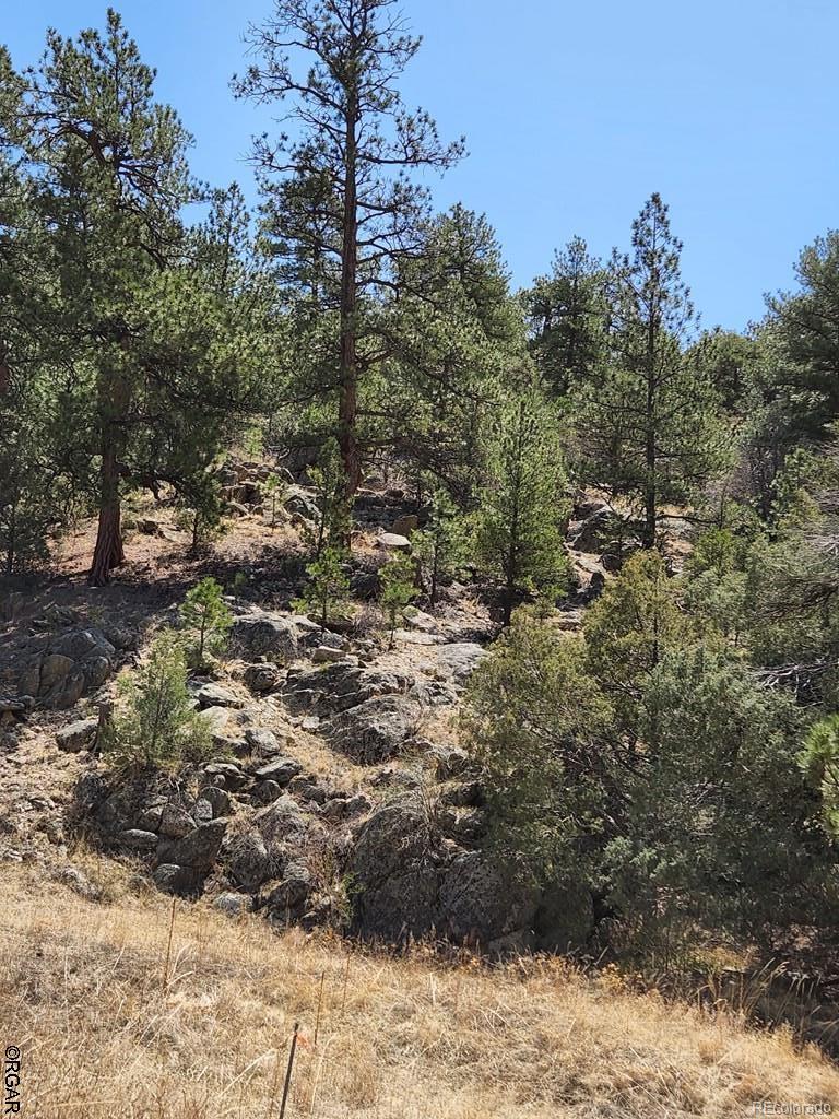 1314 Arnold Drive Cotopaxi CO 81223