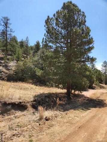 1314 Arnold Drive Cotopaxi CO 81223