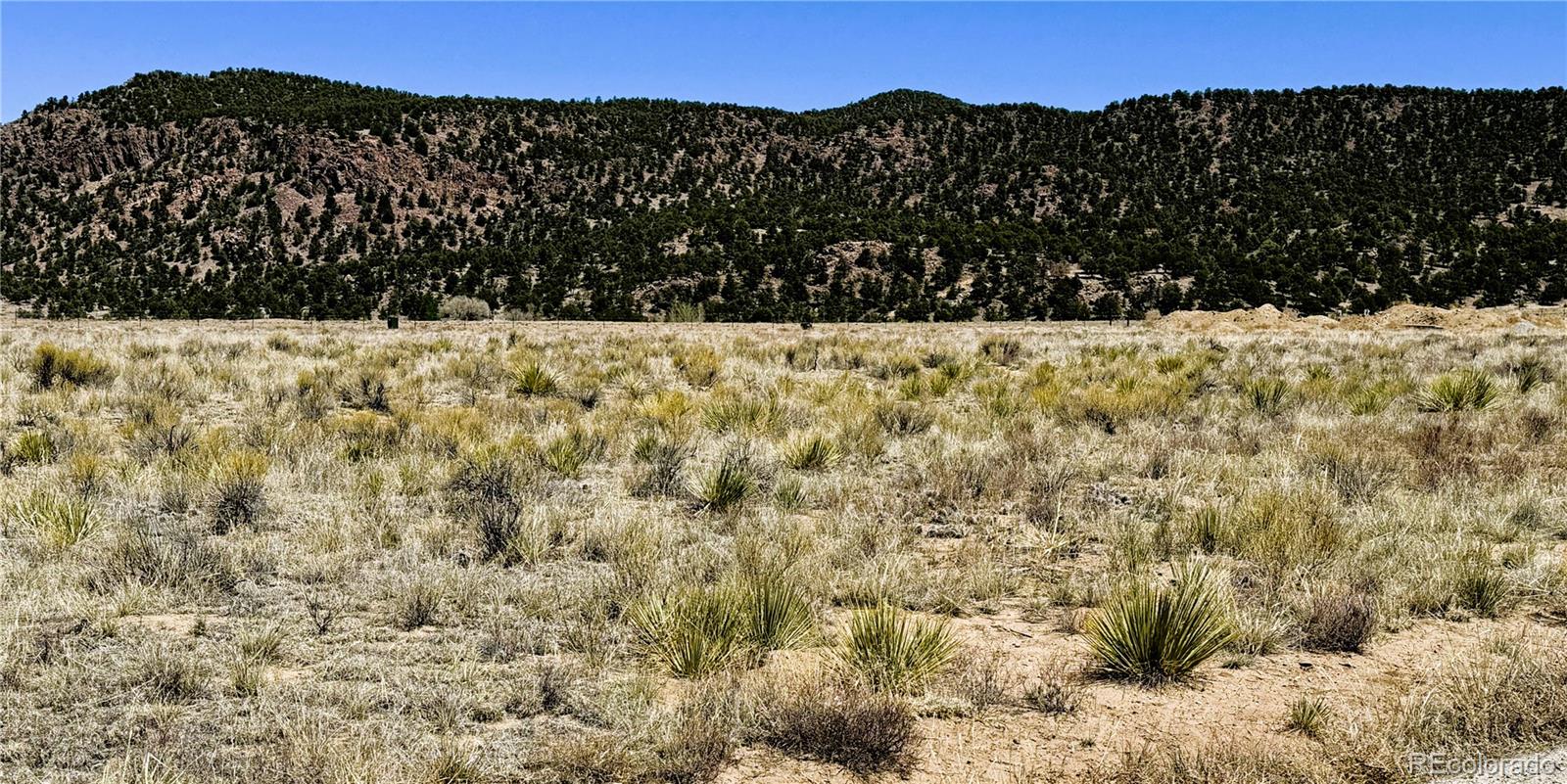 9971 Mint Lane Salida CO 81201