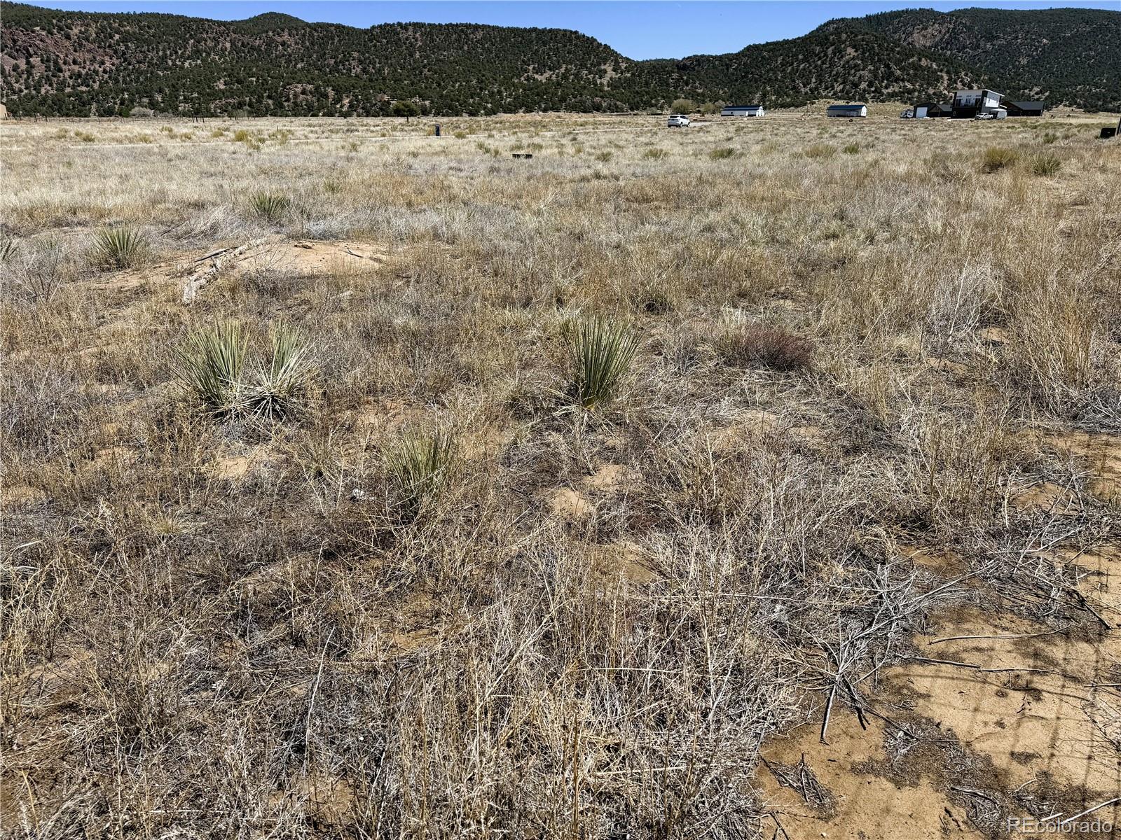 9971 Mint Lane Salida CO 81201