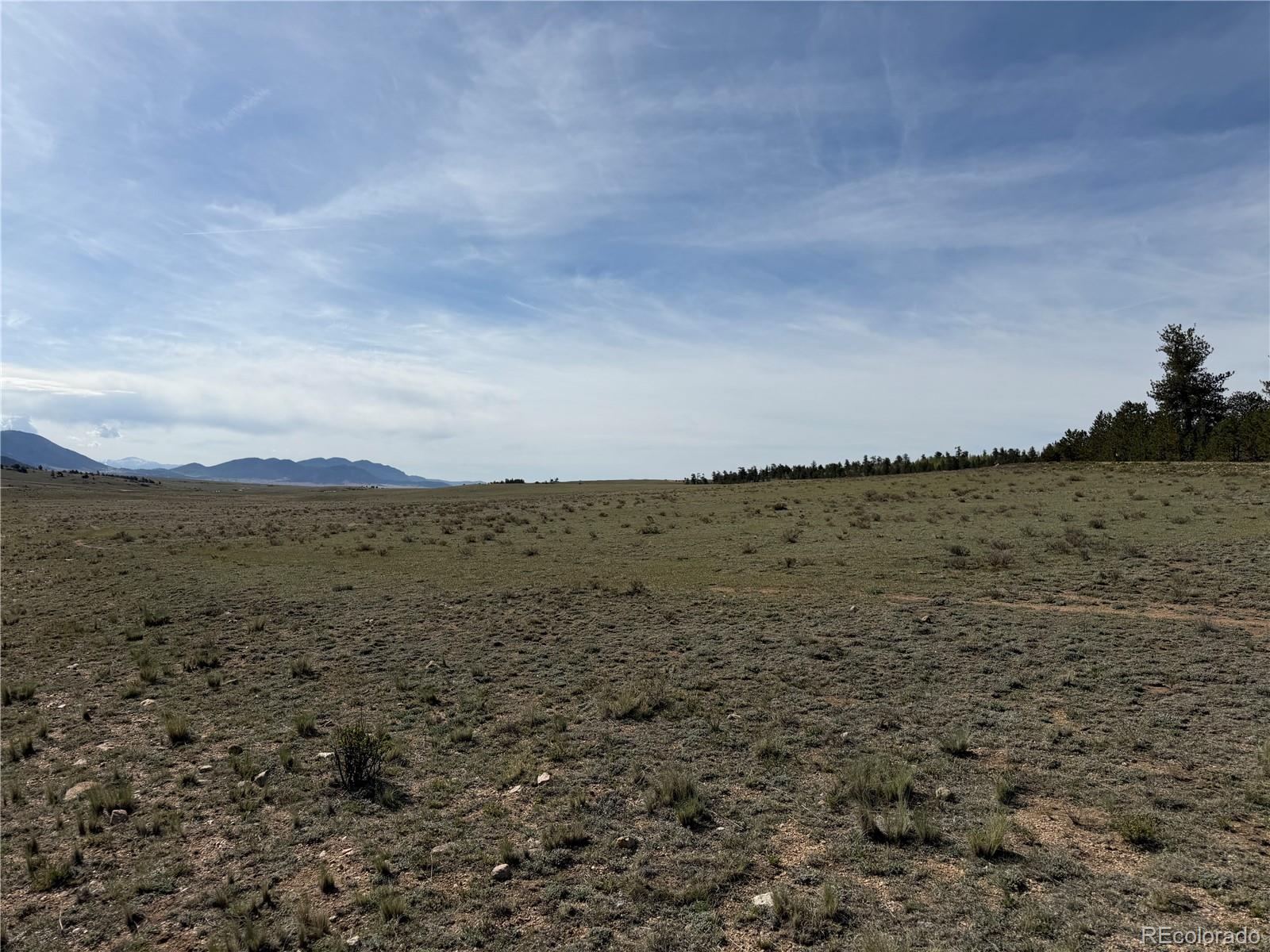 3530 Goldenburg Canyon Road Hartsel CO 80449