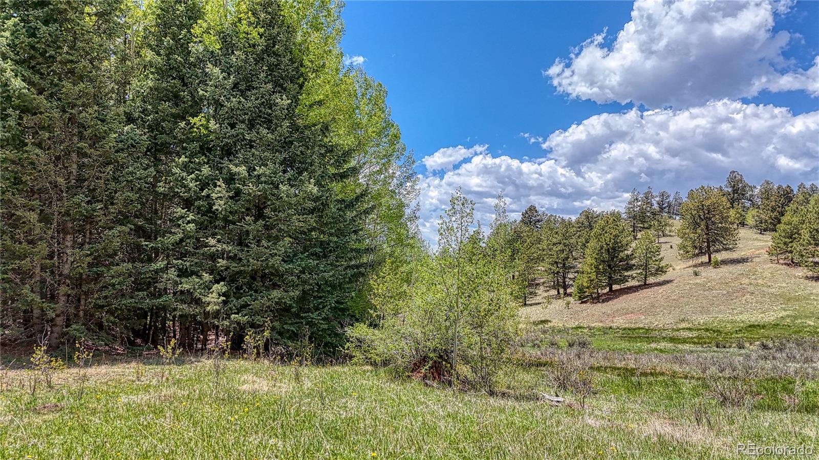 Lot 60 Monarch Drive Cripple Creek CO 80813