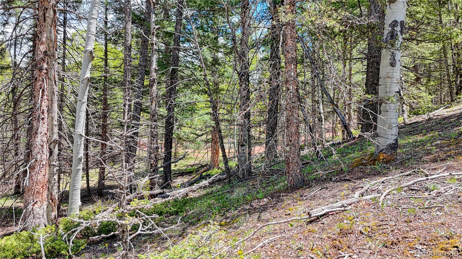 Lot 60 Monarch Drive Cripple Creek CO 80813