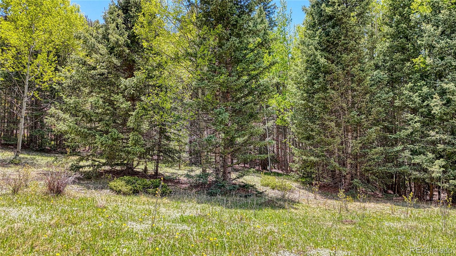 Lot 60 Monarch Drive Cripple Creek CO 80813