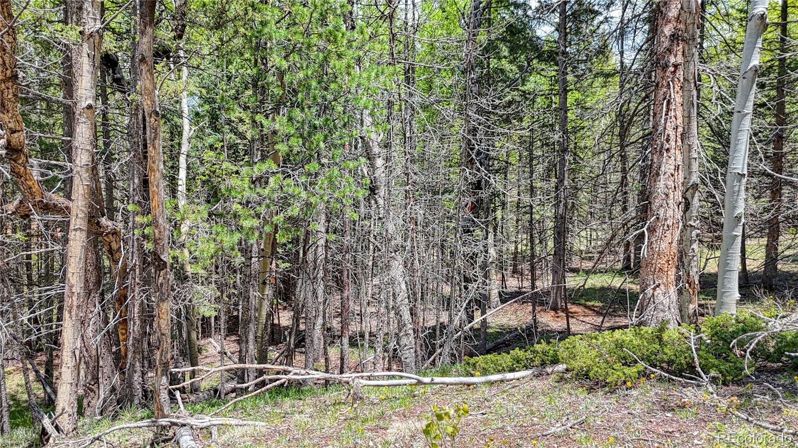 Lot 60 Monarch Drive Cripple Creek CO 80813