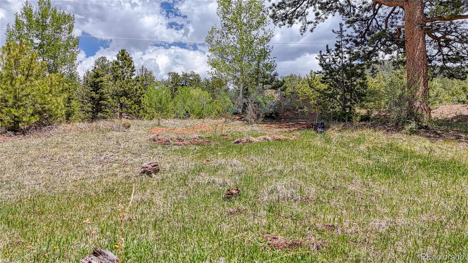 Lot 60 Monarch Drive Cripple Creek CO 80813