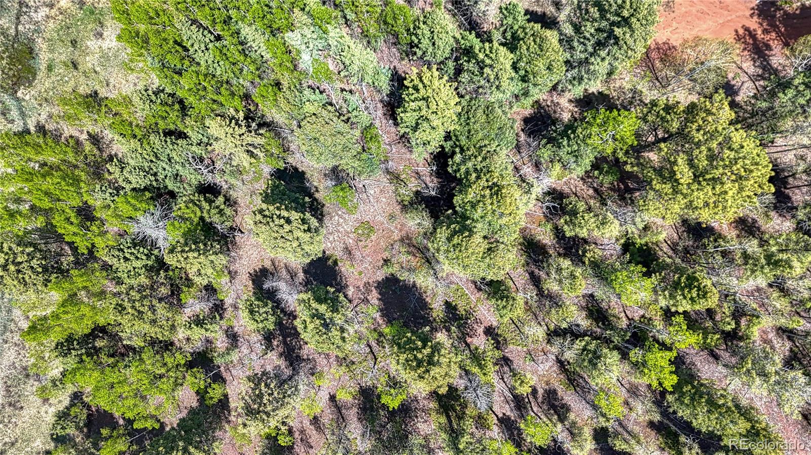 Lot 60 Monarch Drive Cripple Creek CO 80813