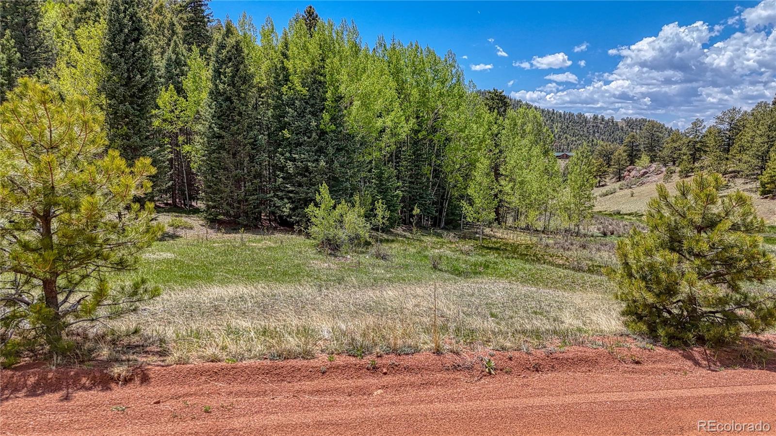 Lot 60 Monarch Drive Cripple Creek CO 80813