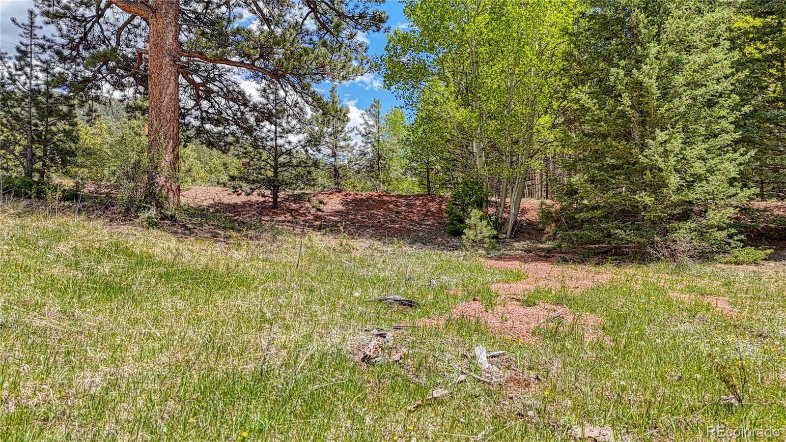 Lot 60 Monarch Drive Cripple Creek CO 80813