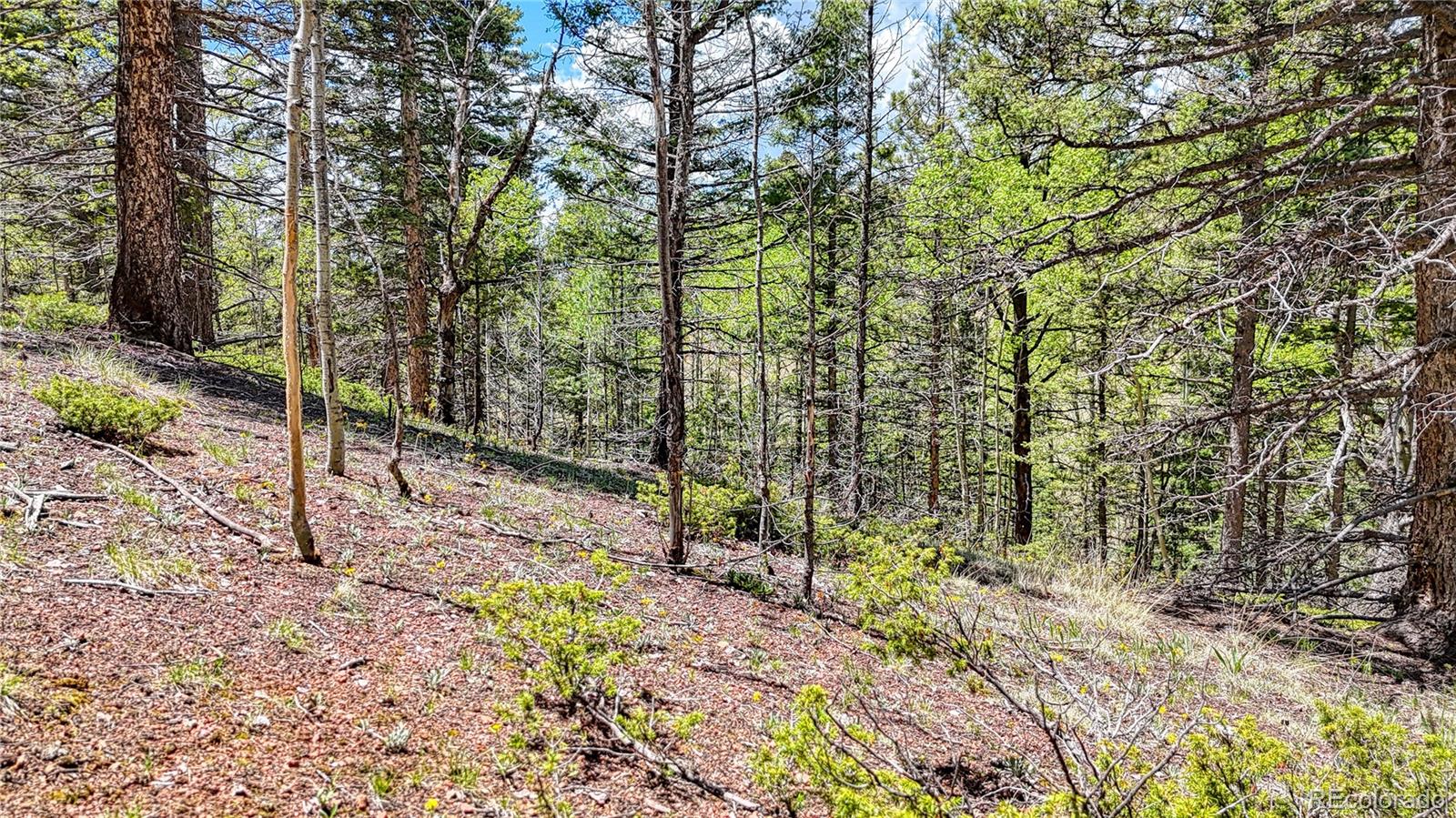 Lot 60 Monarch Drive Cripple Creek CO 80813