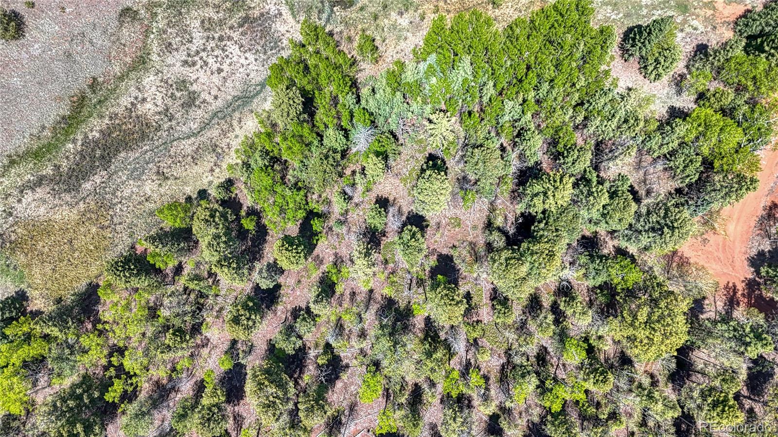 Lot 60 Monarch Drive Cripple Creek CO 80813
