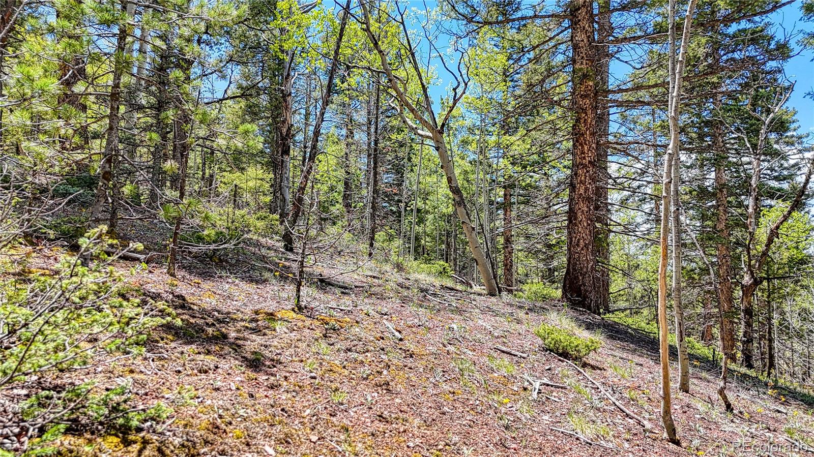 Lot 60 Monarch Drive Cripple Creek CO 80813