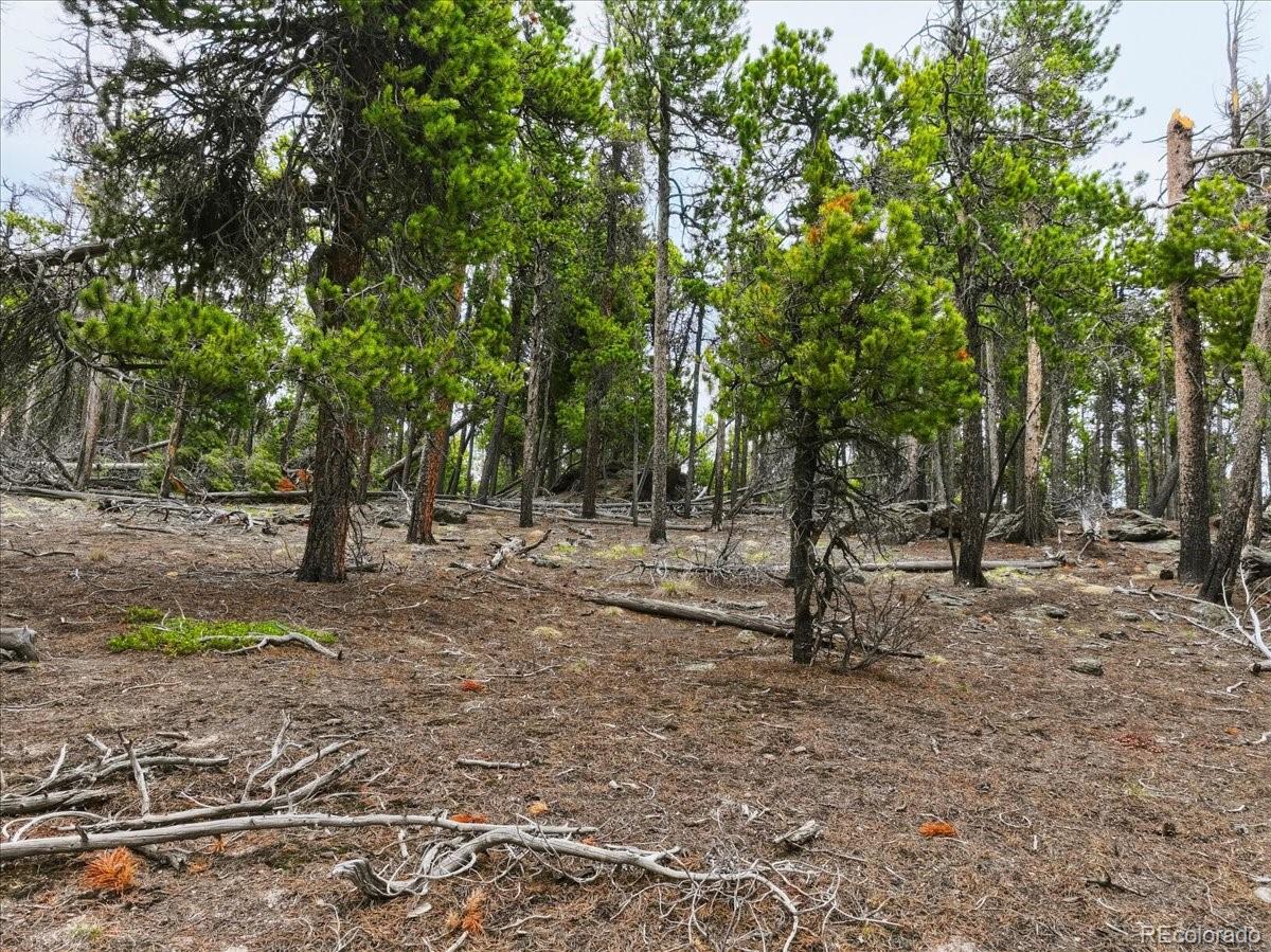 000 Sinton Road Evergreen CO 80439