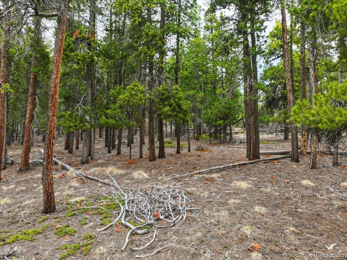 000 Sinton Road Evergreen CO 80439