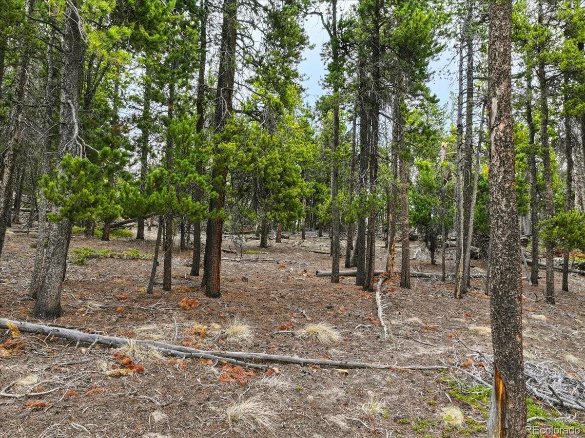 000 Sinton Road Evergreen CO 80439