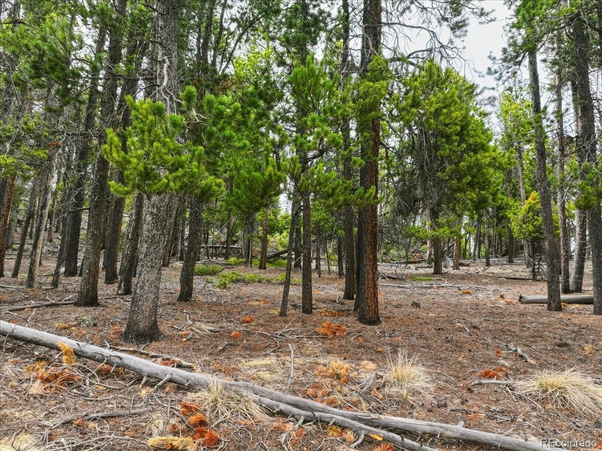 000 Sinton Road Evergreen CO 80439