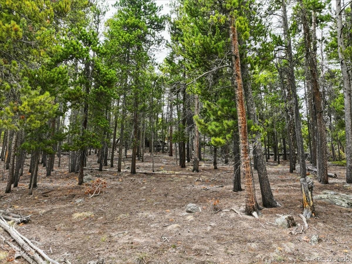 000 Sinton Road Evergreen CO 80439