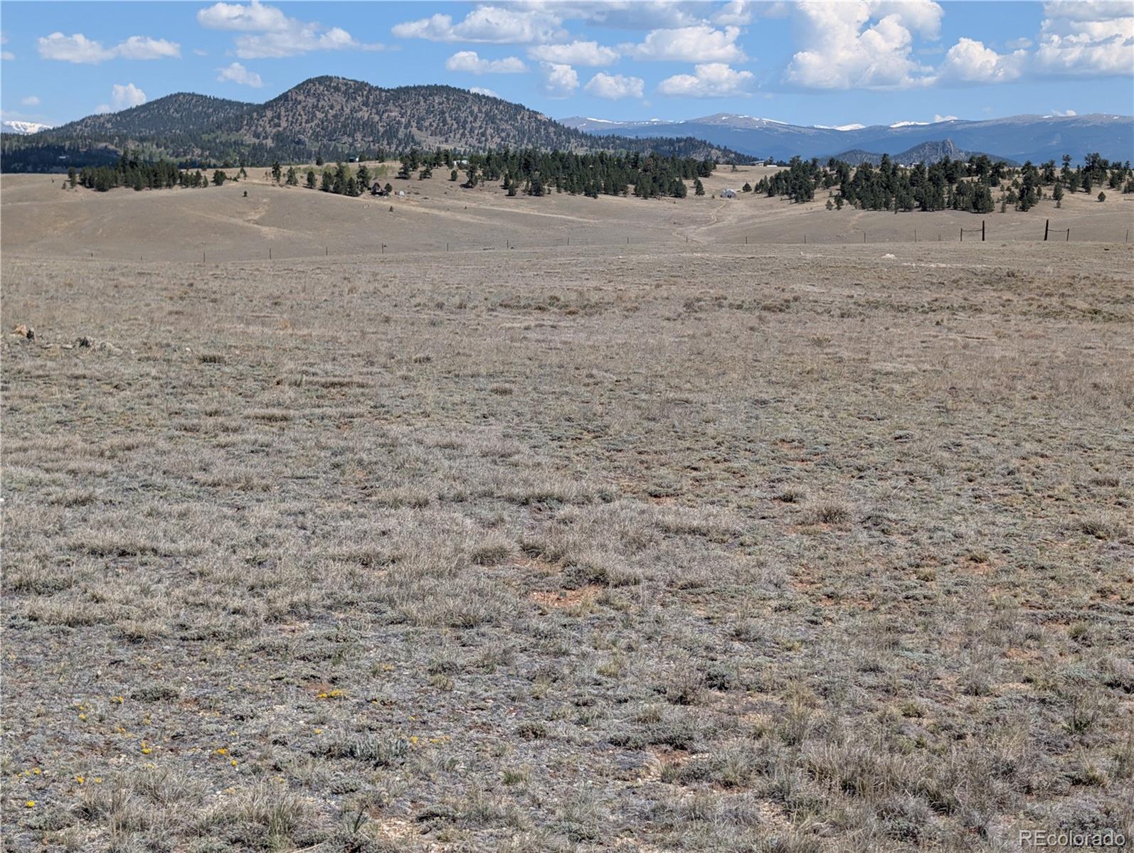 412 Andesite Way Hartsel CO 80449
