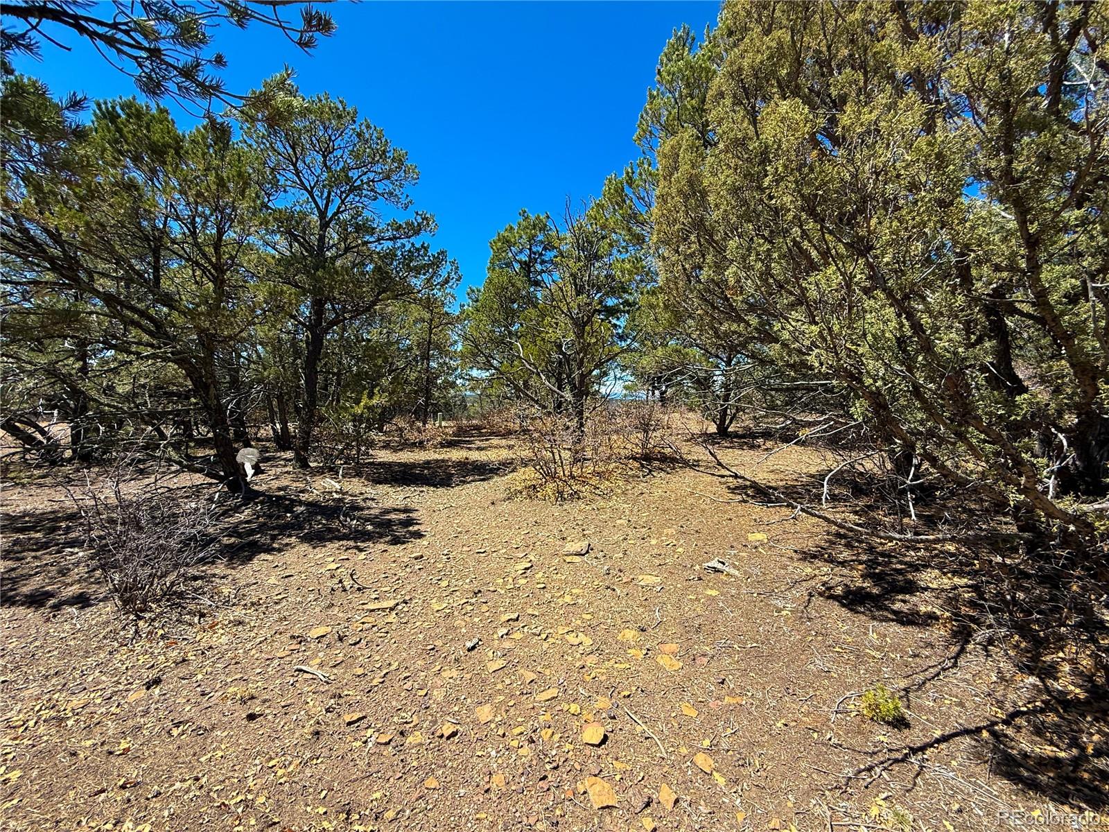 230 Old Mission Road Trinidad CO 81082