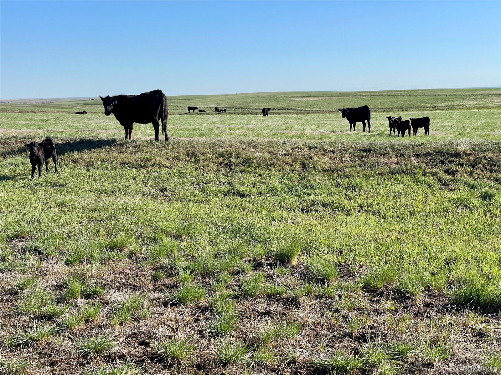 A County Road 166 Deer Trail CO 80105
