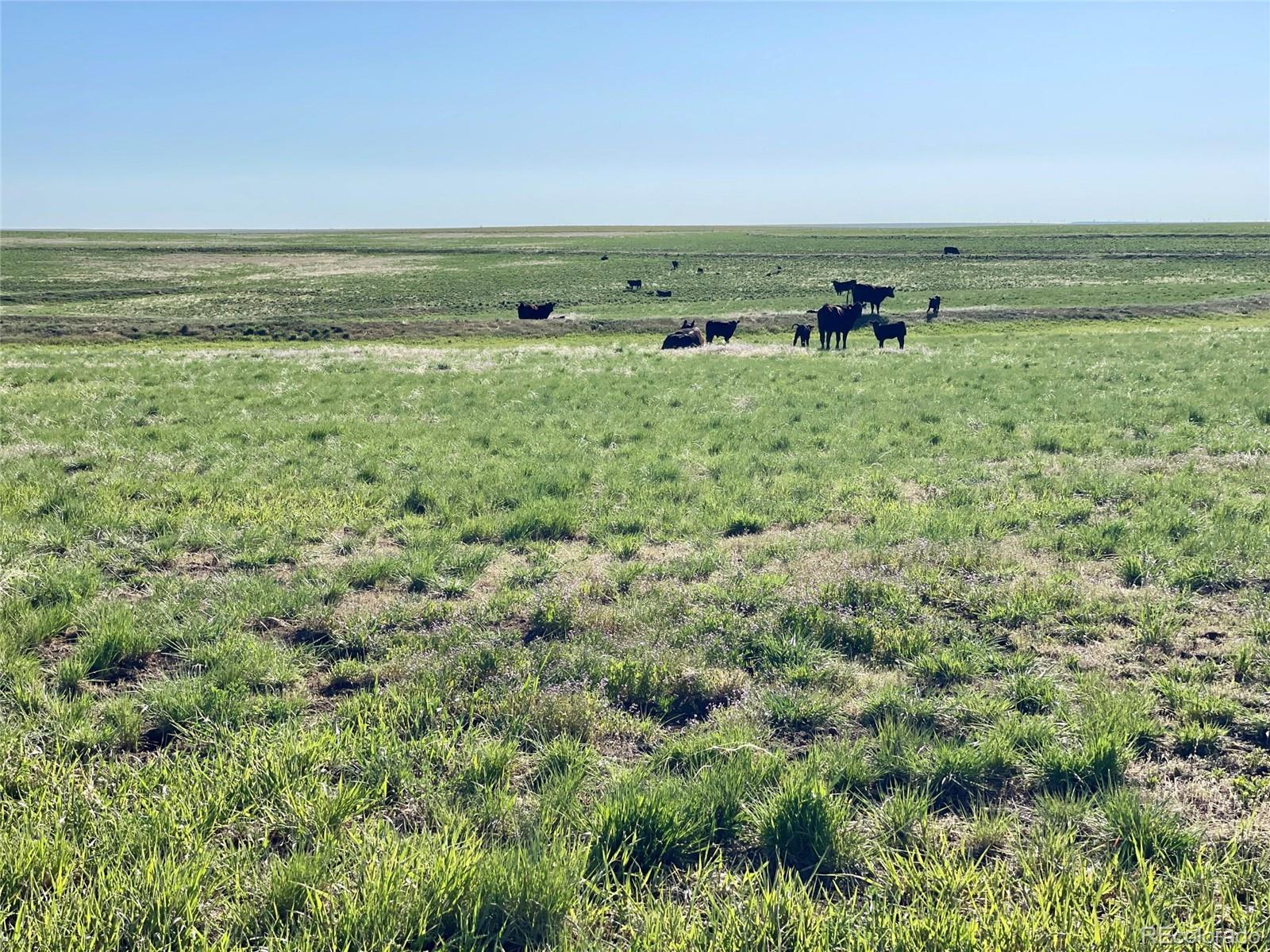 A County Road 166 Deer Trail CO 80105