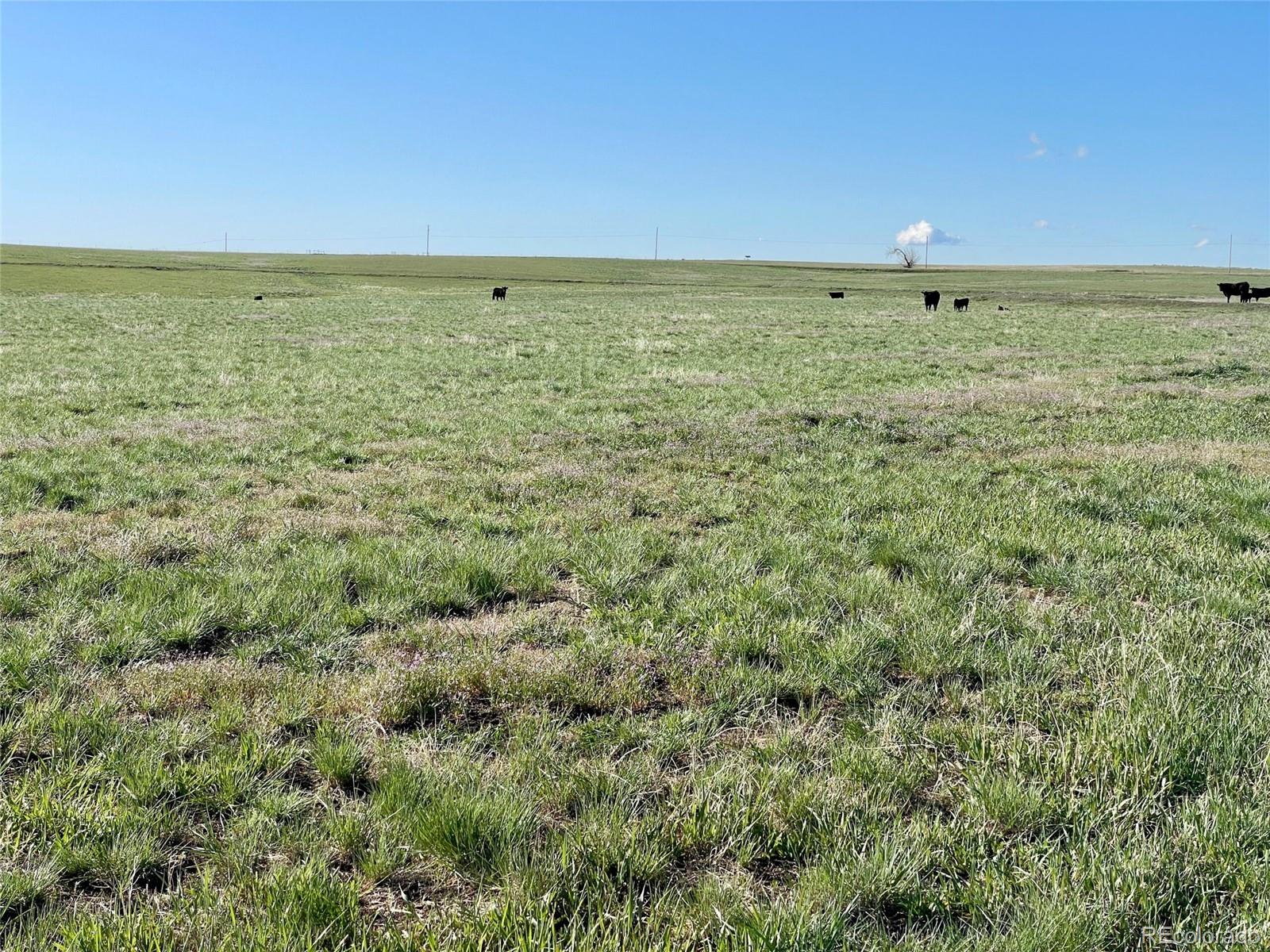 A County Road 166 Deer Trail CO 80105