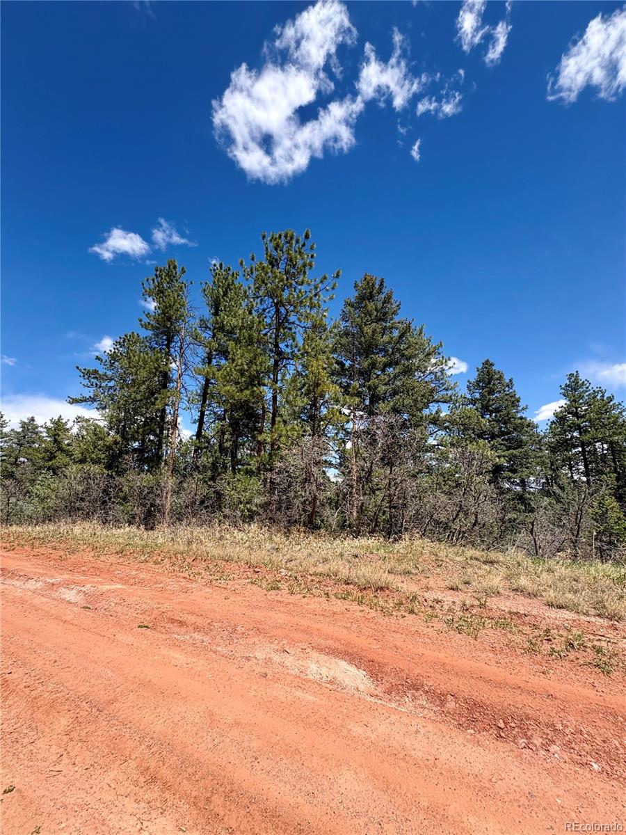 8200 Acoma Drive Larkspur CO 80118