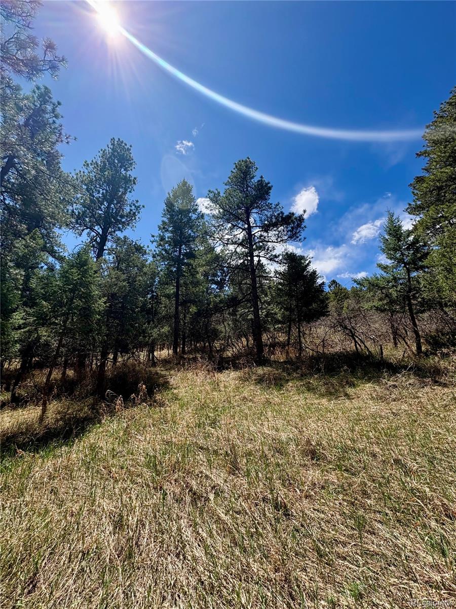 8200 Acoma Drive Larkspur CO 80118