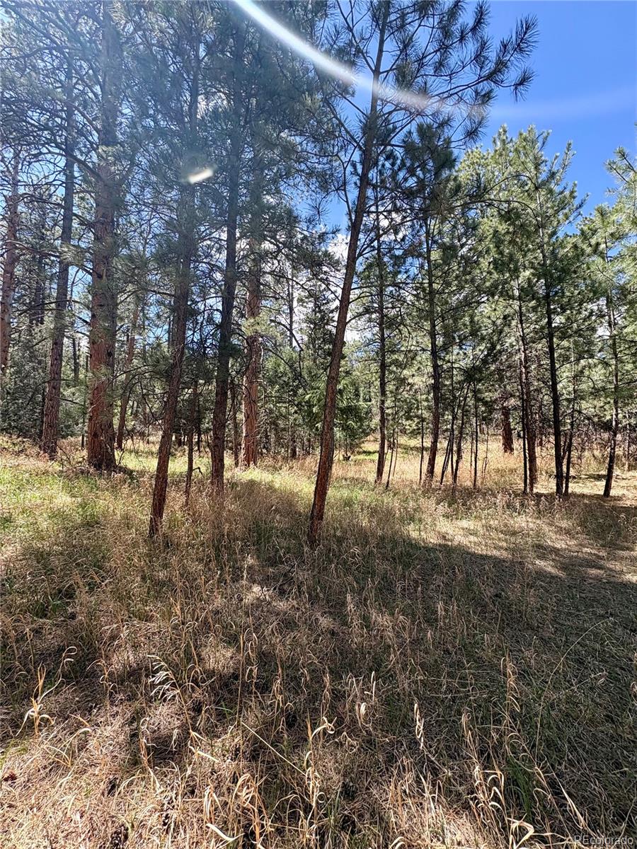8200 Acoma Drive Larkspur CO 80118