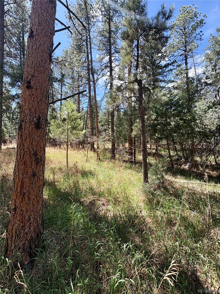8200 Acoma Drive Larkspur CO 80118